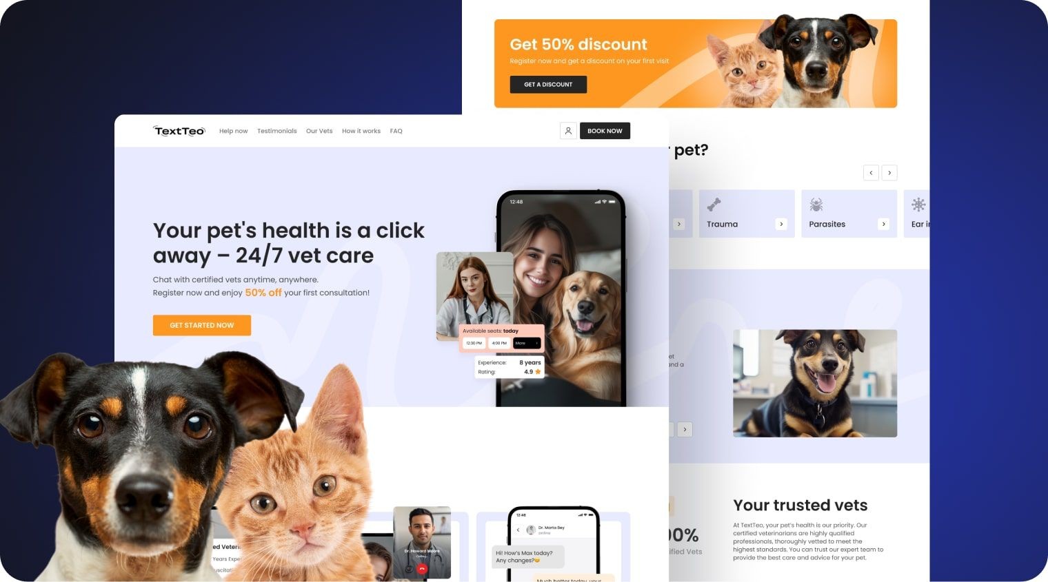 UX-аудит посадочной страницы и сервиса онлайн ветеринарных консультаций TextTeo